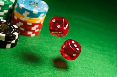 Live bingo game on ibosport link with dealer and digital card
